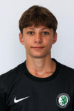 Fürpaß Theodor, Jahrgang 2010